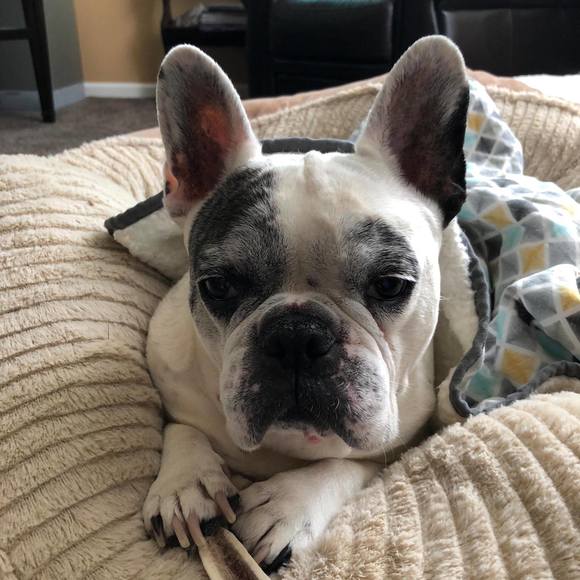 Meet your Posher, Eric - Picture 1 of 1